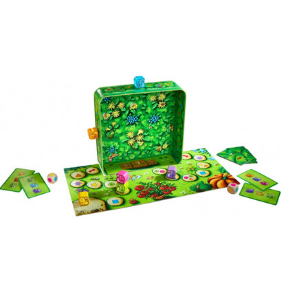 Escargots… Prêts ? Partez !