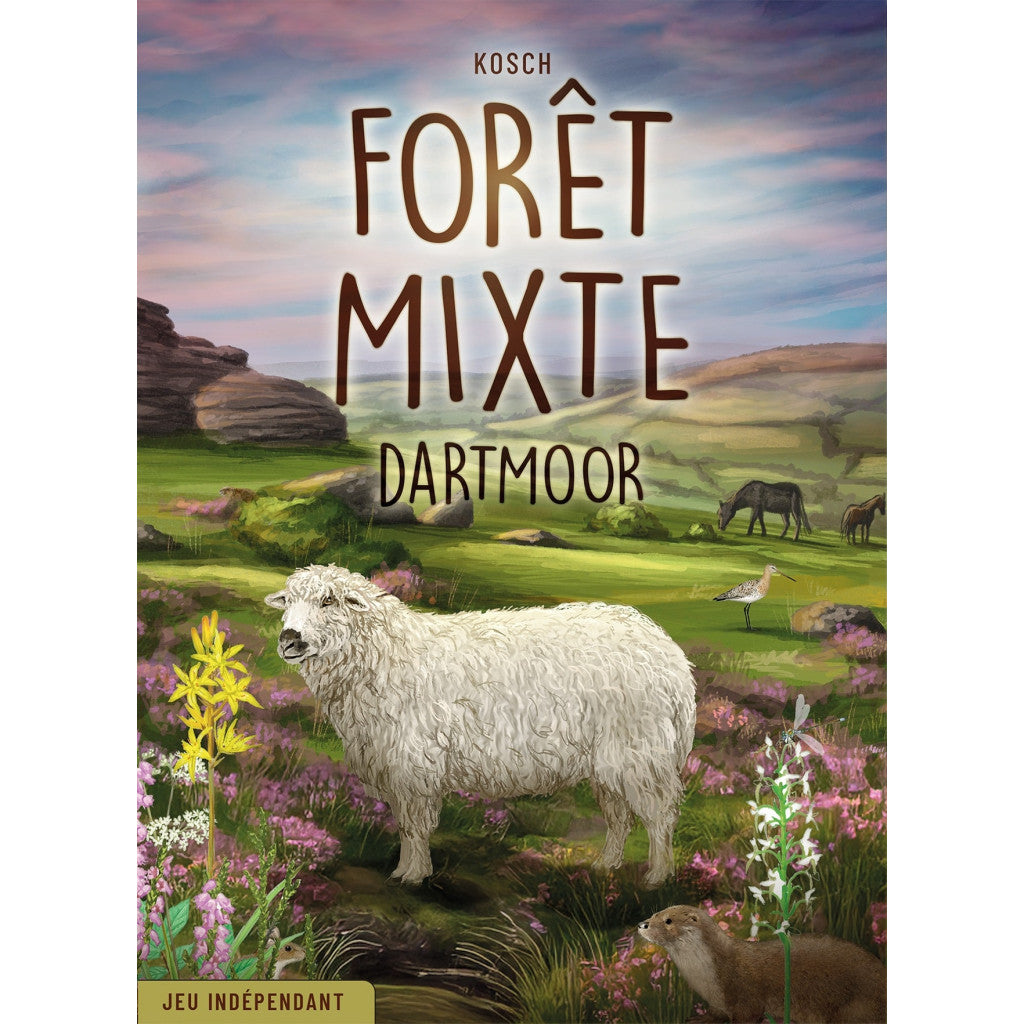 Forêt Mixte : Dartmoor