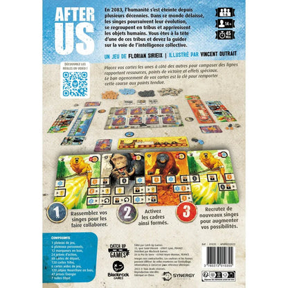 After Us_Jeu - de - société