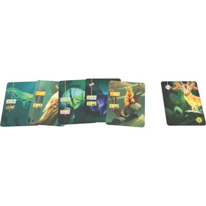 Living Forest Duel_Jeu - de - société