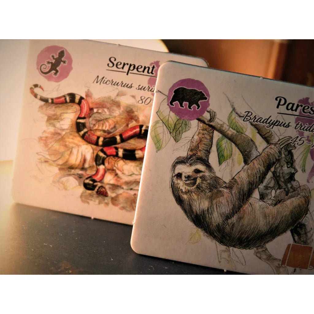 Sur les traces de Darwin_Jeu - de - société