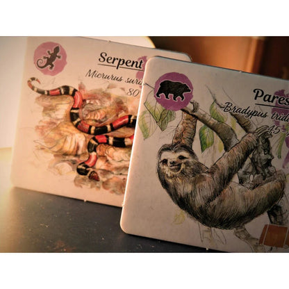 Sur les traces de Darwin_Jeu - de - société