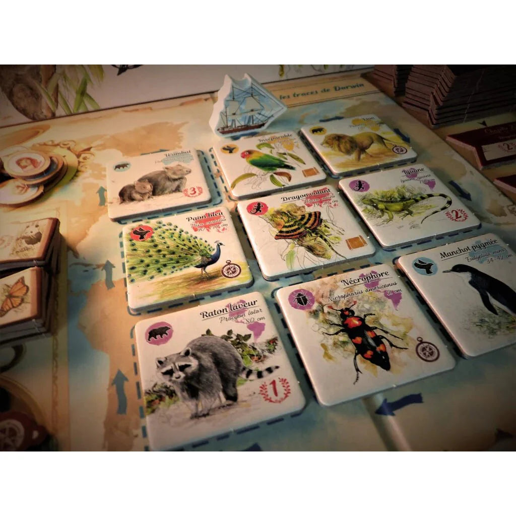 Sur les traces de Darwin_Jeu - de - société